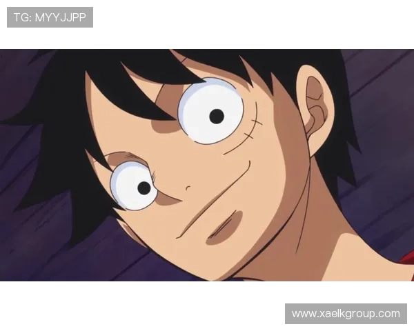 hzw海贼王：不只是一场冒险，更是心之所向的伟大征程